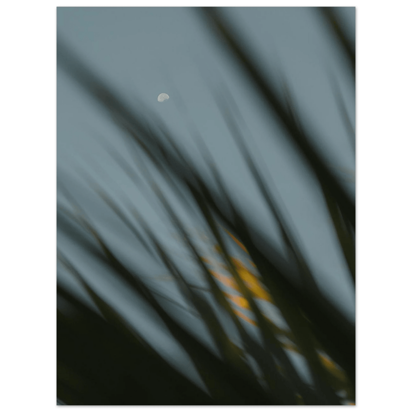 Fotodrucke