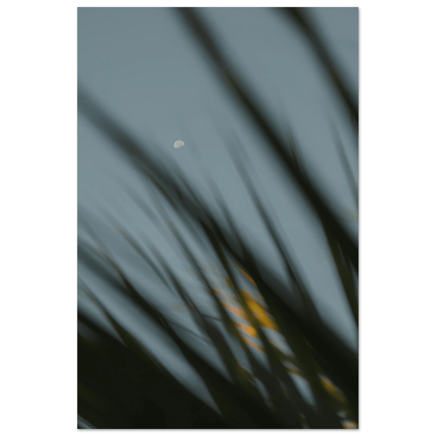 Fotodrucke