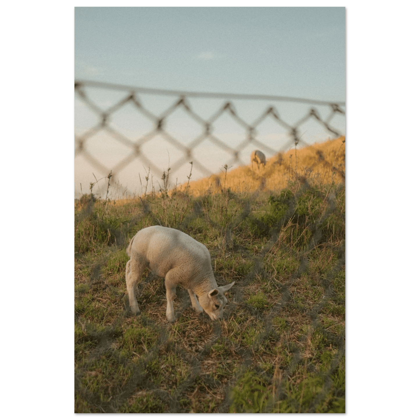 Fotodrucke