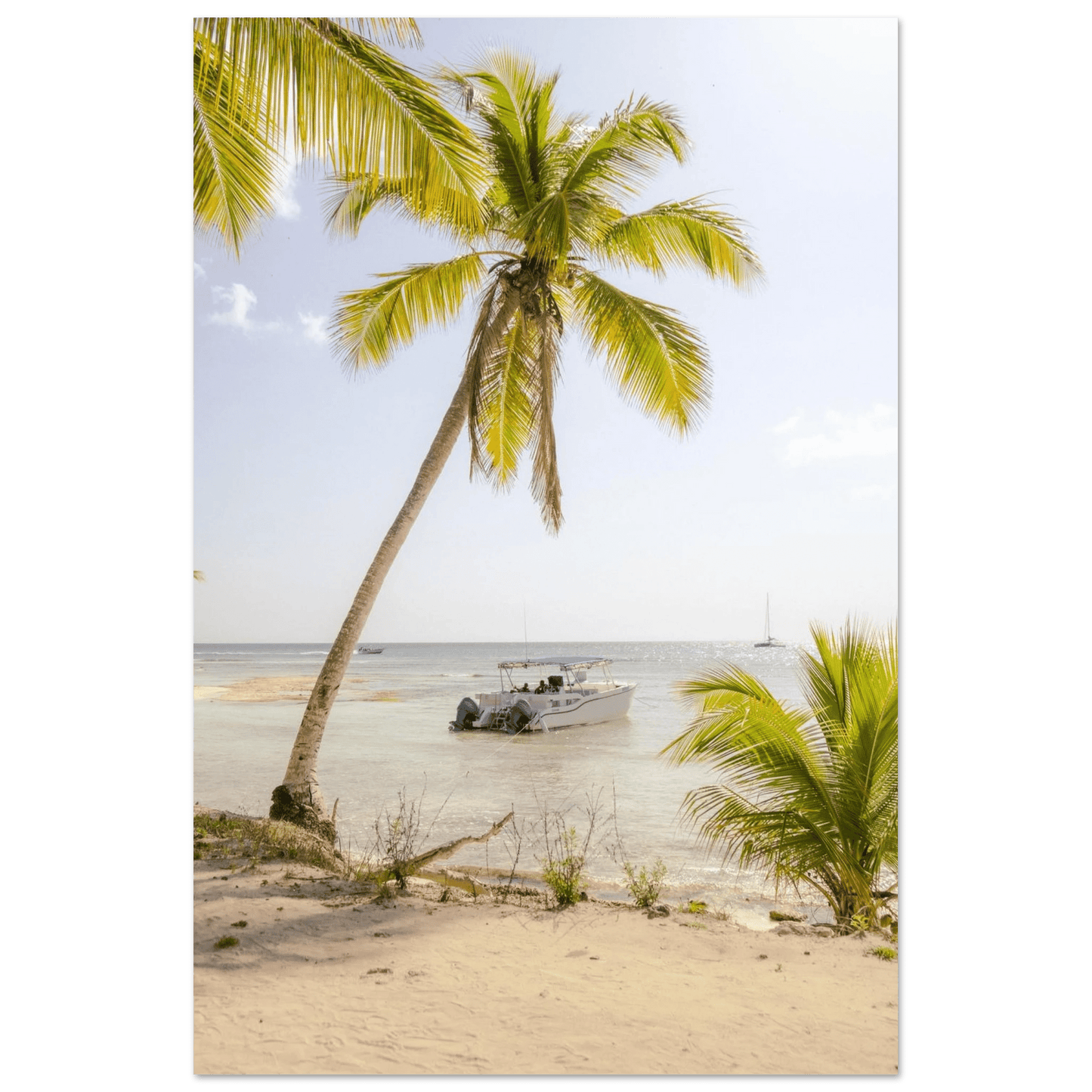 Fotodrucke