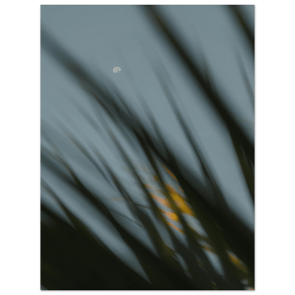 Fotodrucke