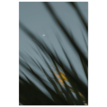 Fotodrucke