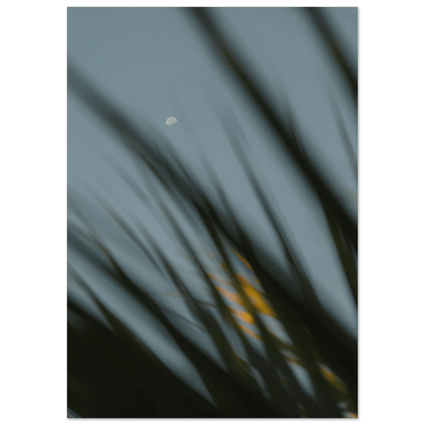 Fotodrucke