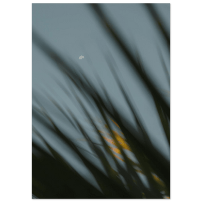 Fotodrucke