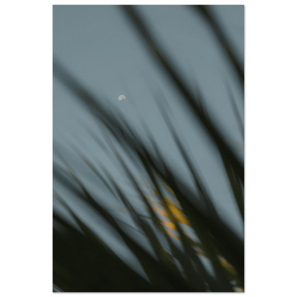 Fotodrucke