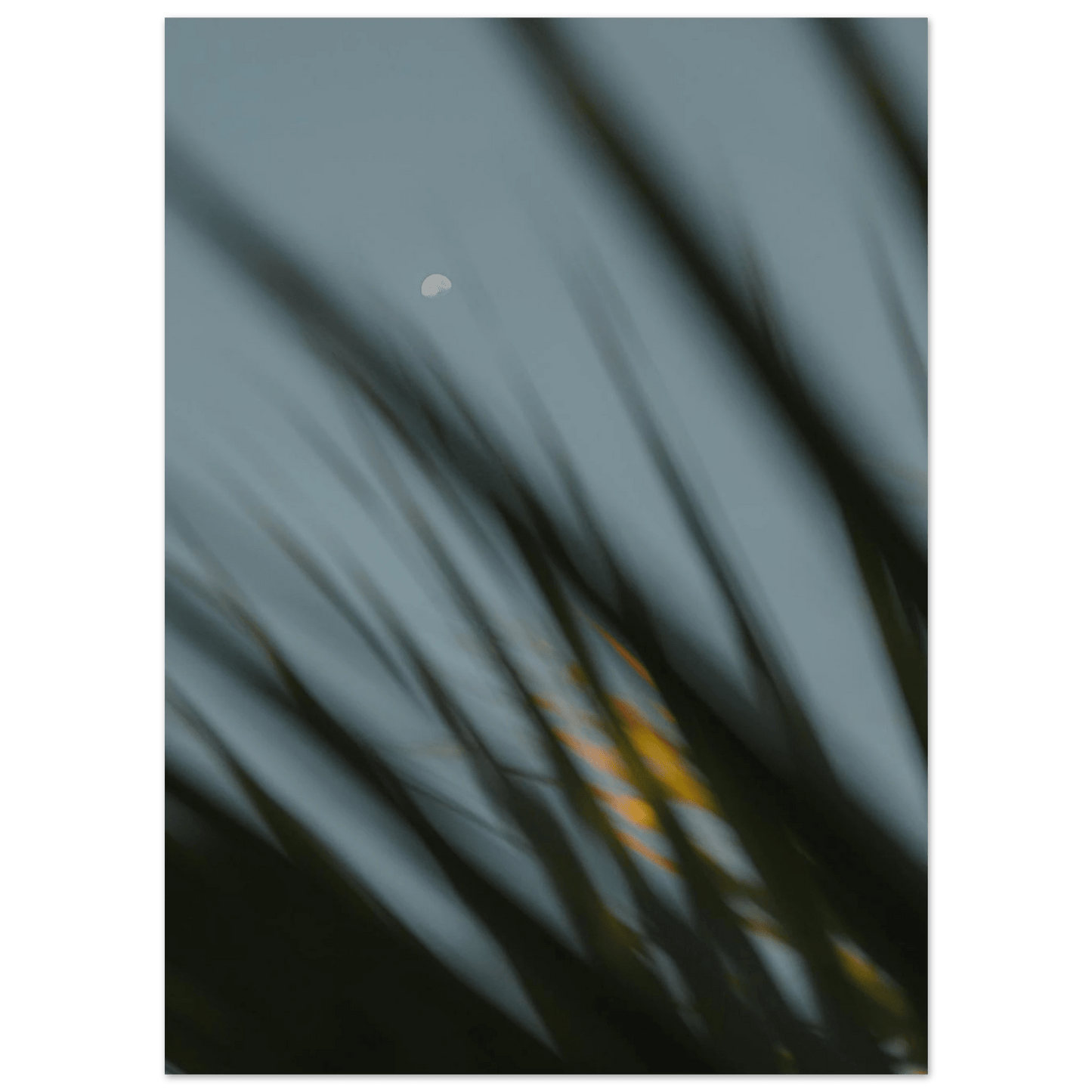 Fotodrucke