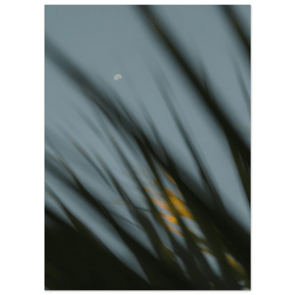 Fotodrucke