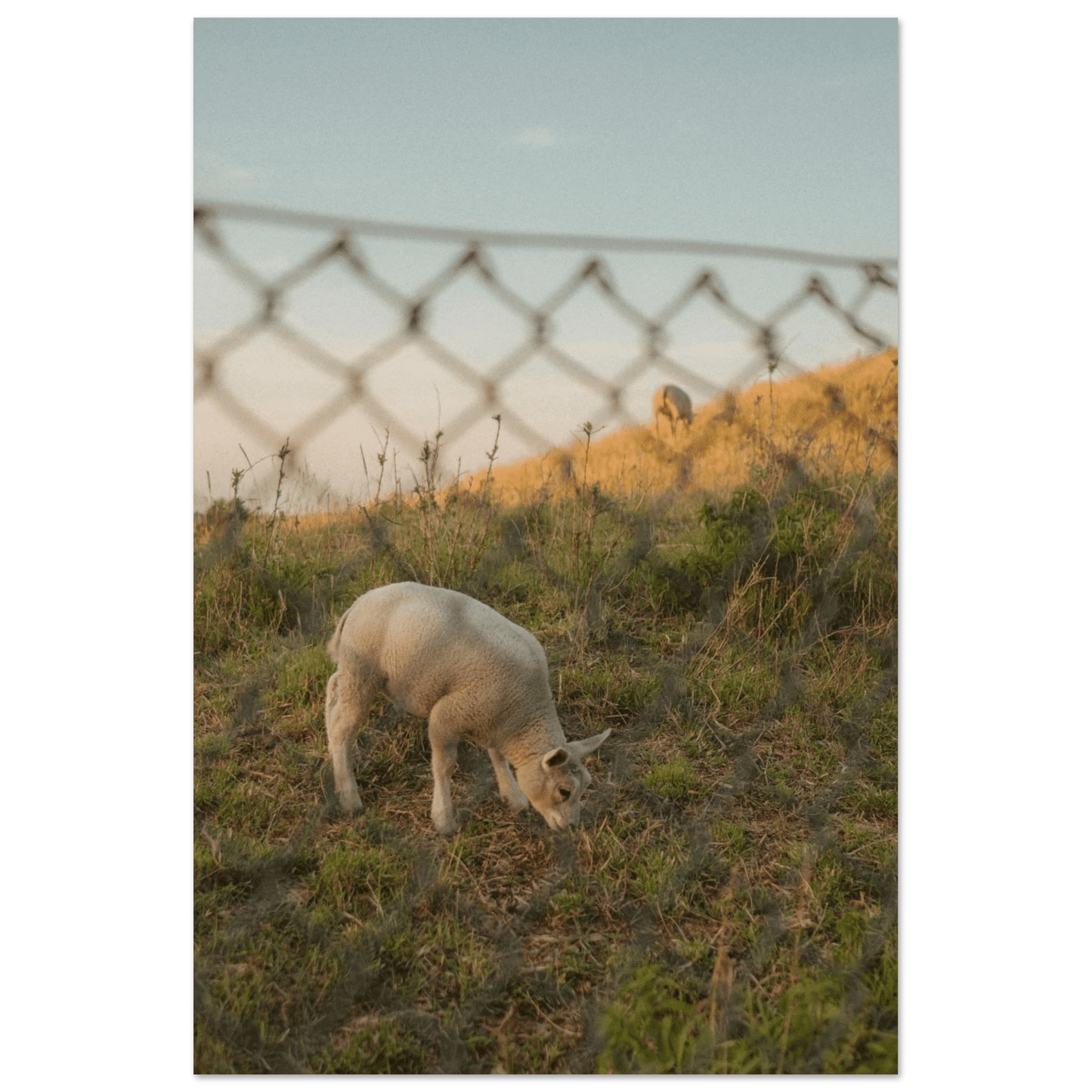 Fotodrucke