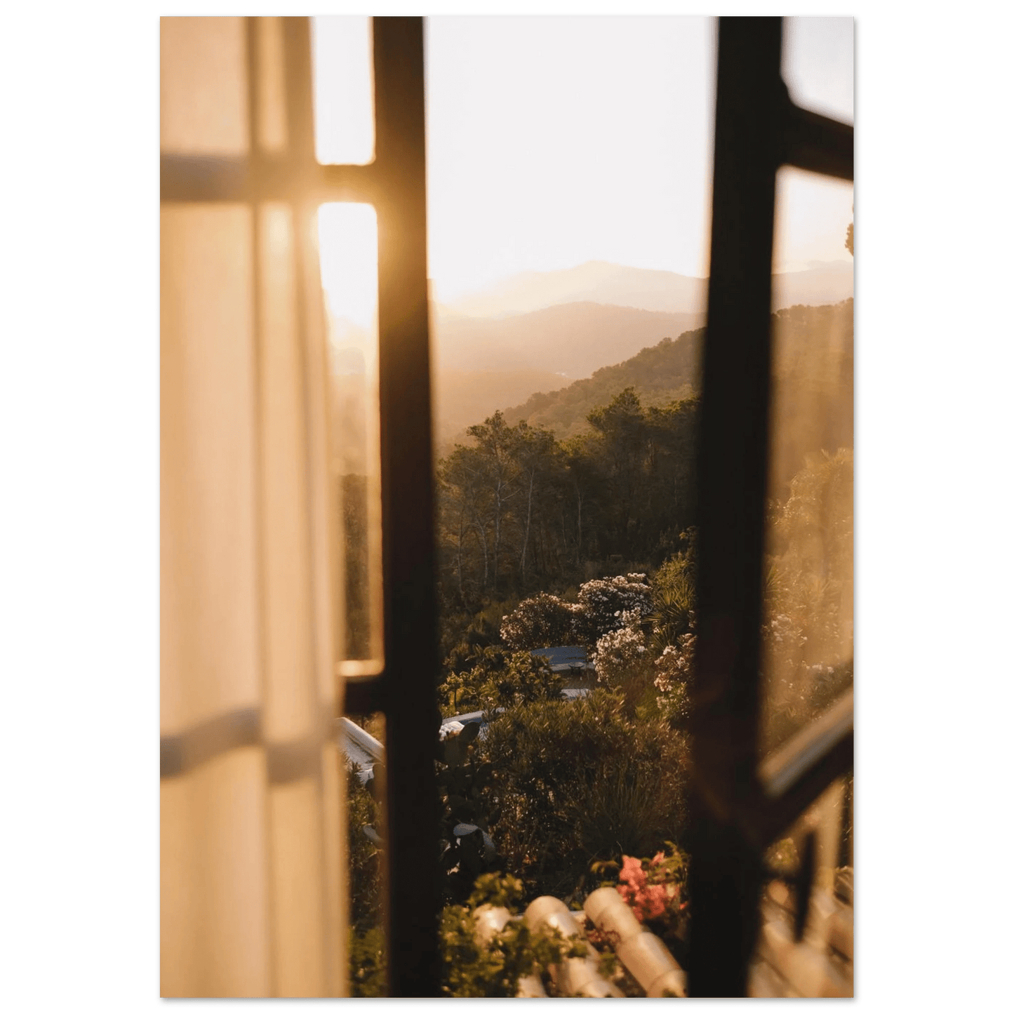 Fotodrucke